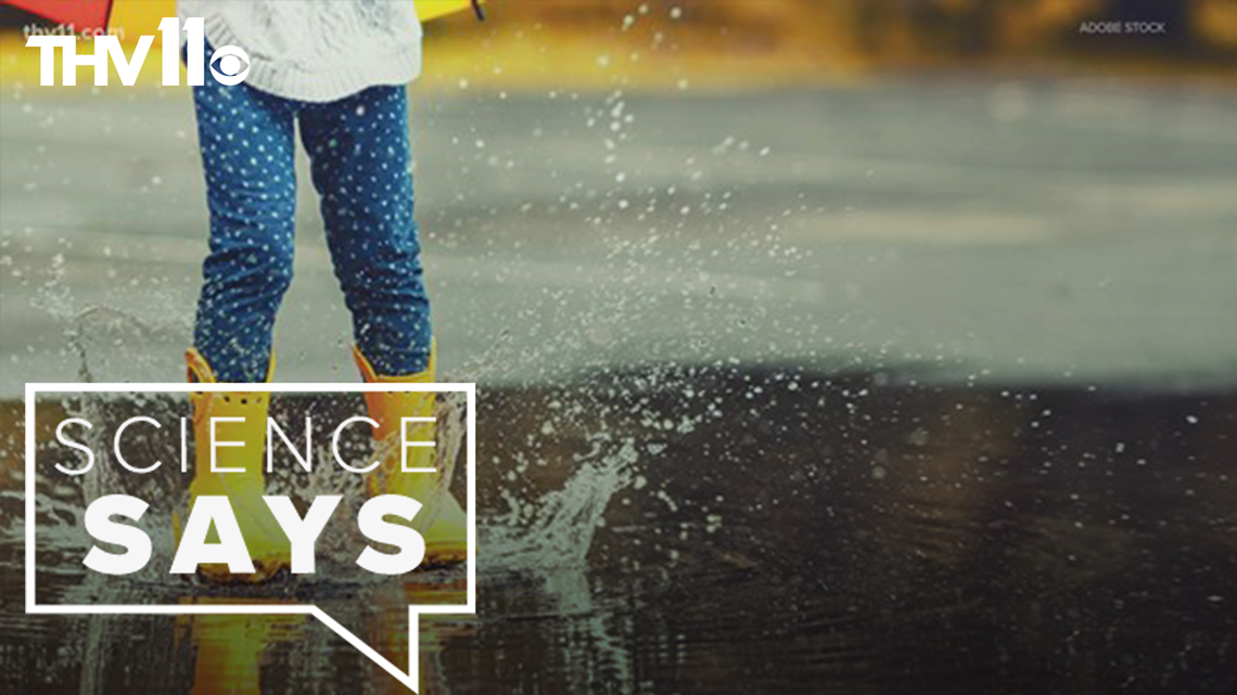 What does 'percent chance of rain' really mean?