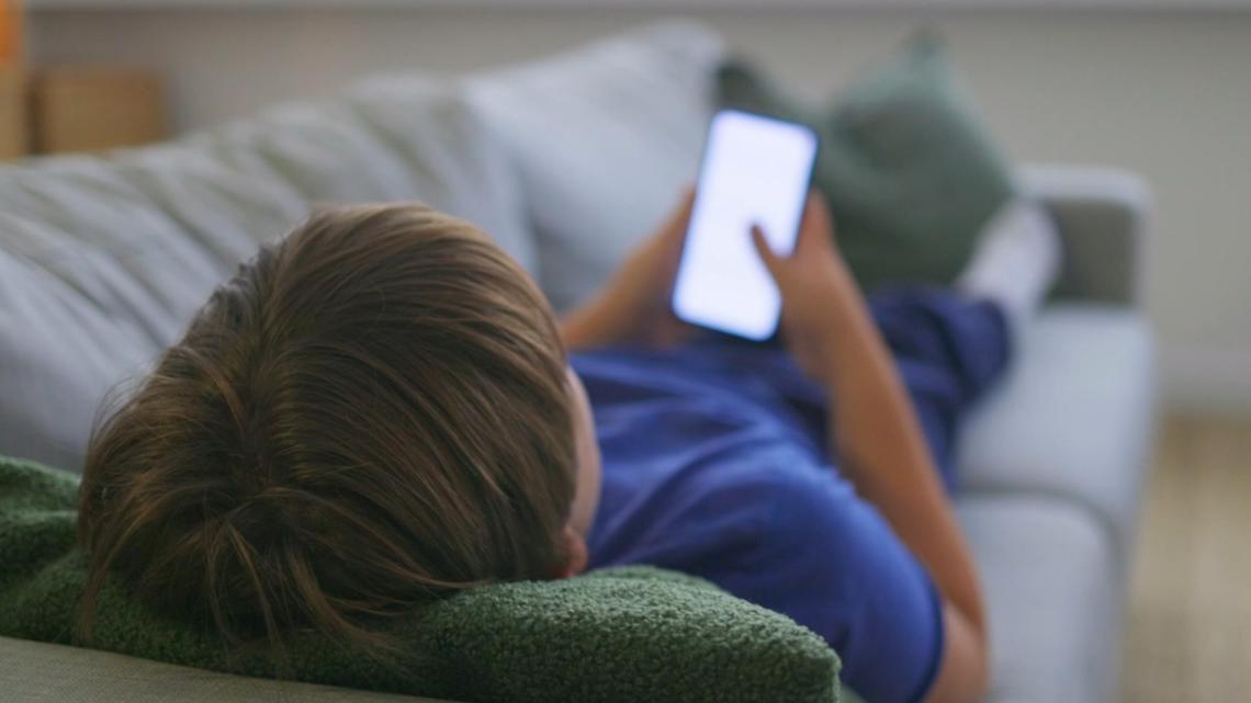 Do social media confrontations of alleged child predators actually help?