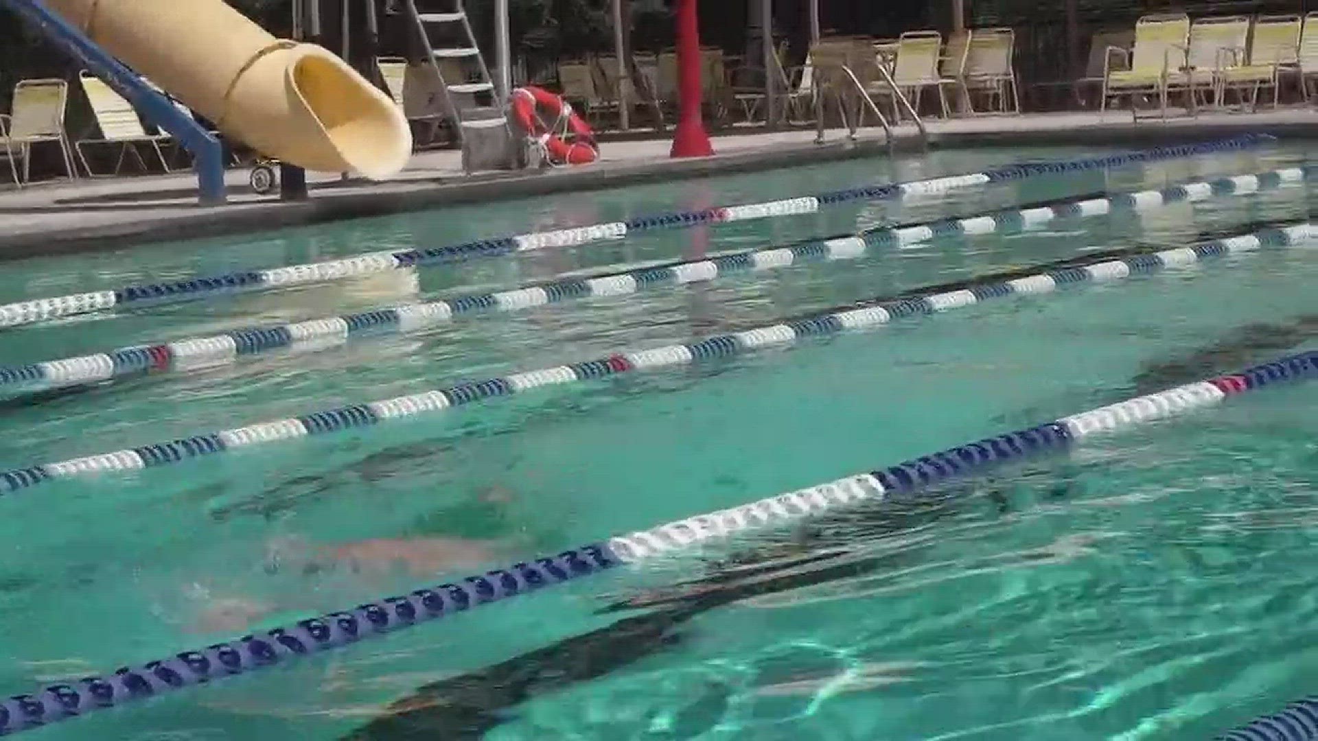 Parents beware: poo parasite may lurk in pools