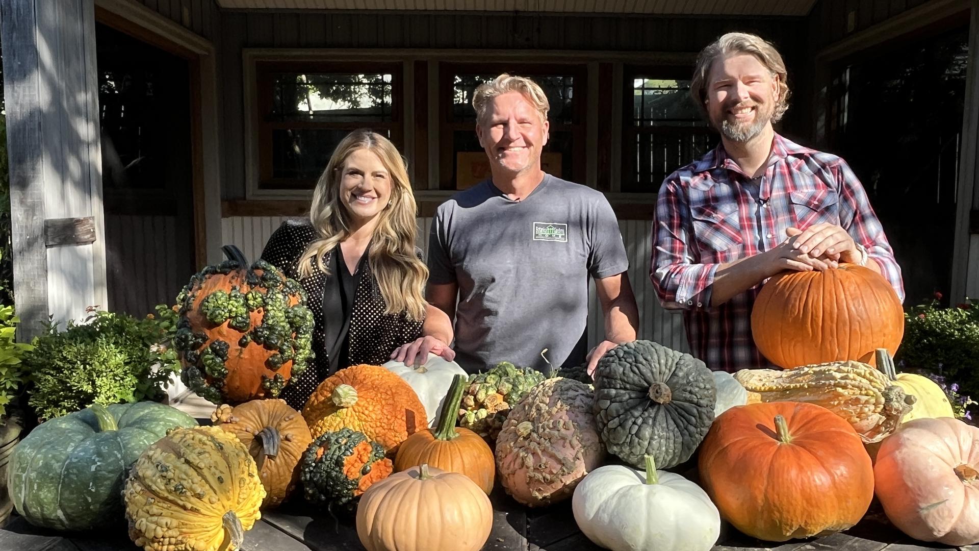 Chris H. Olsen explains how to tell if your gourd is good. He also shows us ways to decorate your place with pumpkins.