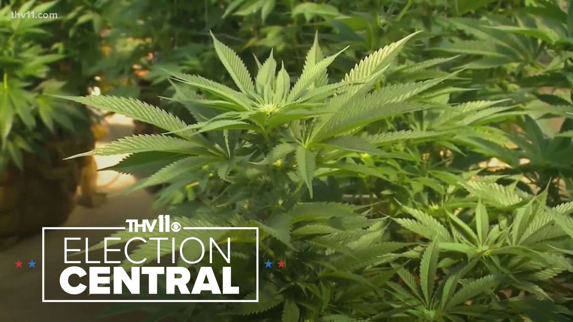 One of the biggest and most debated issues on this year's ballot is the push to legalize recreational marijuana in Arkansas.
