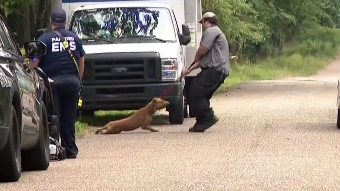 Saline County continues debate on stricter dog control laws after fatal teen attack