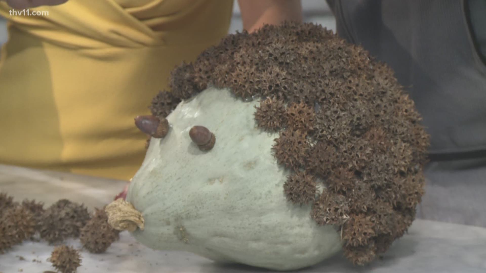 Fall is in full swing and Chris H. Olsen is here to help us add some fun to our autumn decor with cute hedgehog pumpkins.