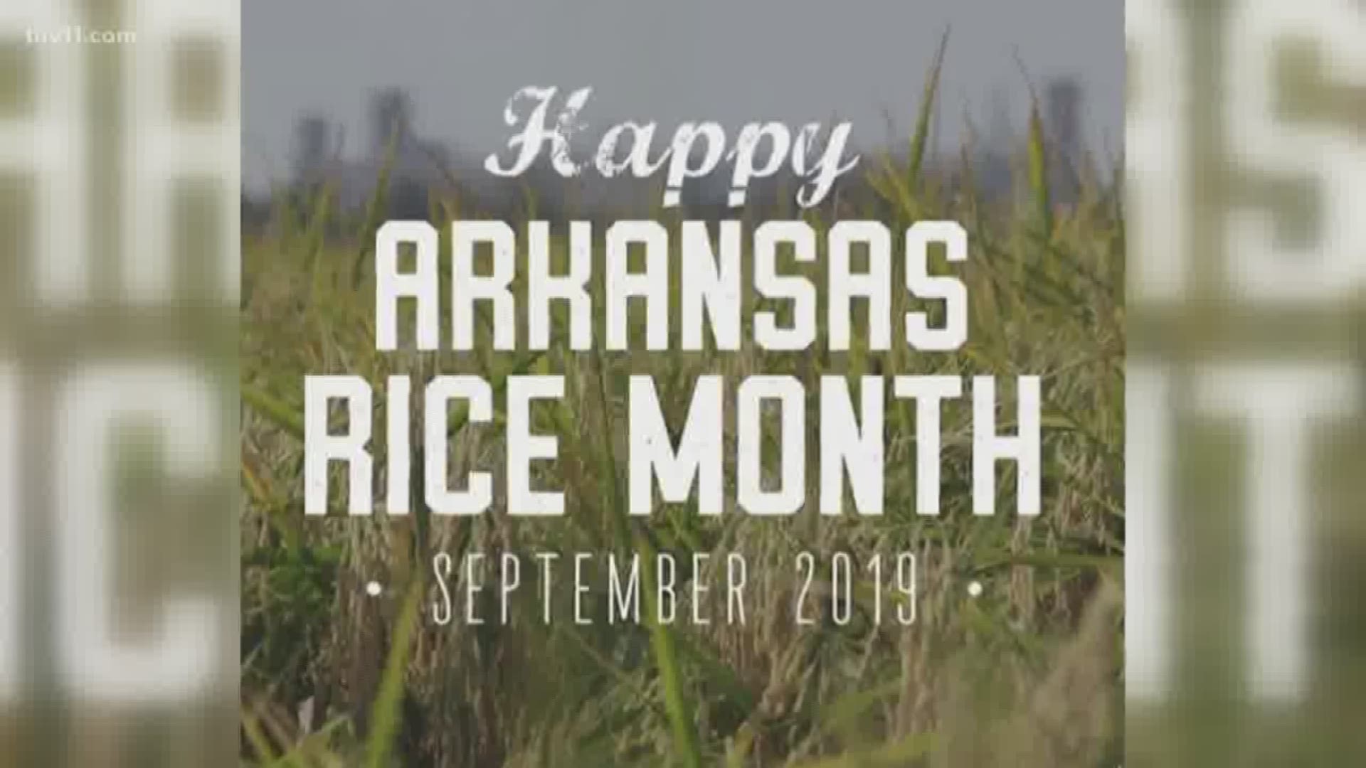 The Arkansas Rice Federation celebrates Arkansas rice month each September.