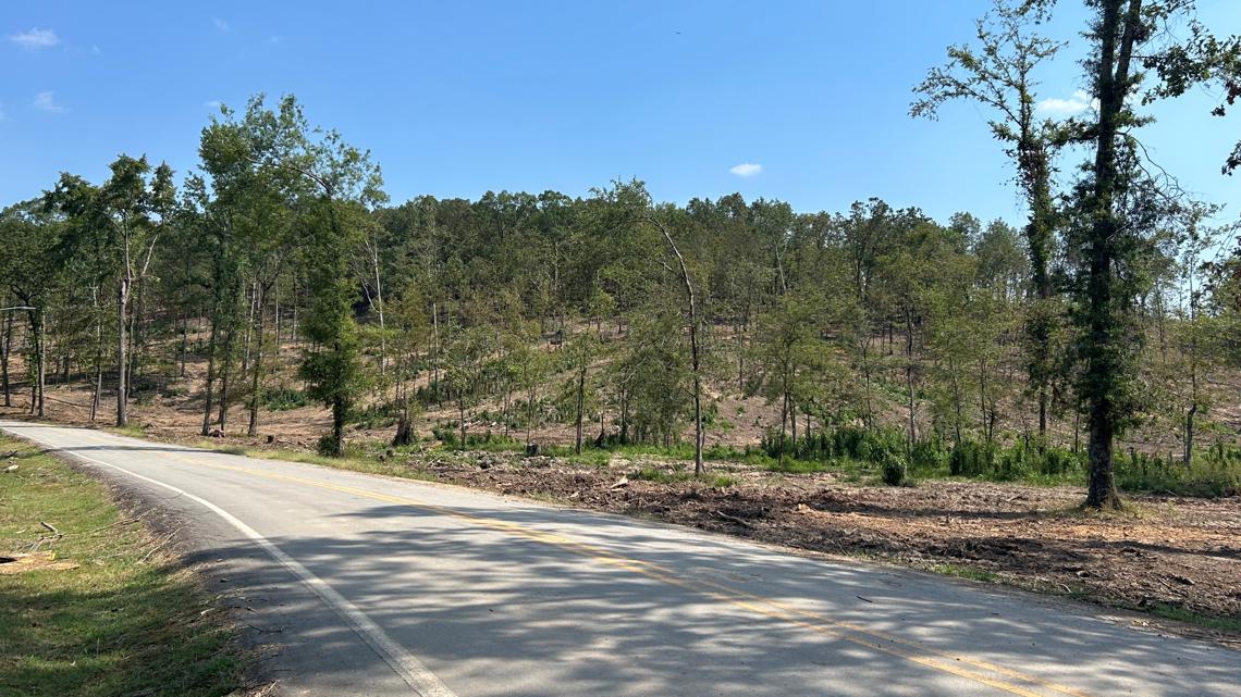 Top loop in Burns Park now open, North Little Rock officials say - Vimarsana News