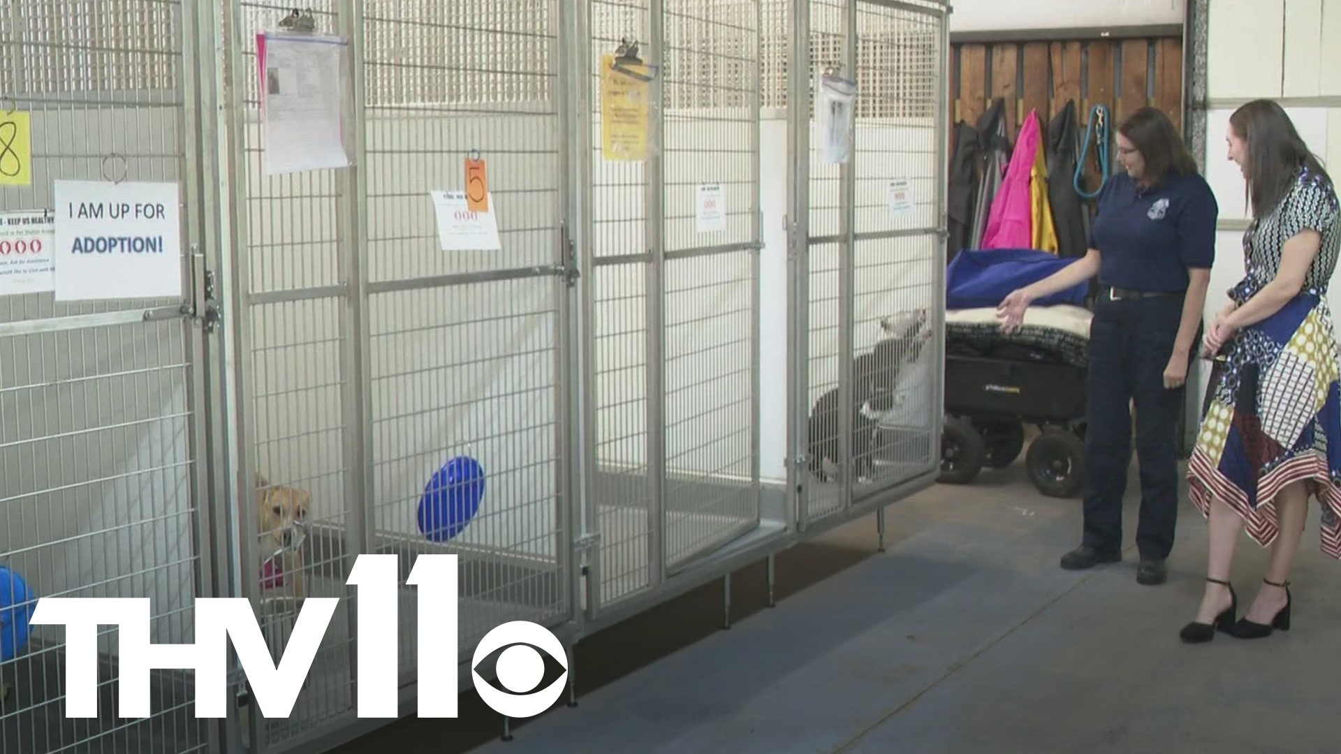 Animal shelters across Arkansas have been dealing with overcrowding and the issues of whether or not to euthanize— one city has been working to save every animal.