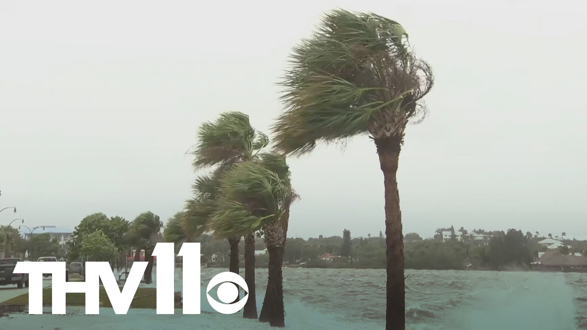 New data has found that tropical storms will continue to strengthen and intensify, which could lead to impacts felt in the Natural State.