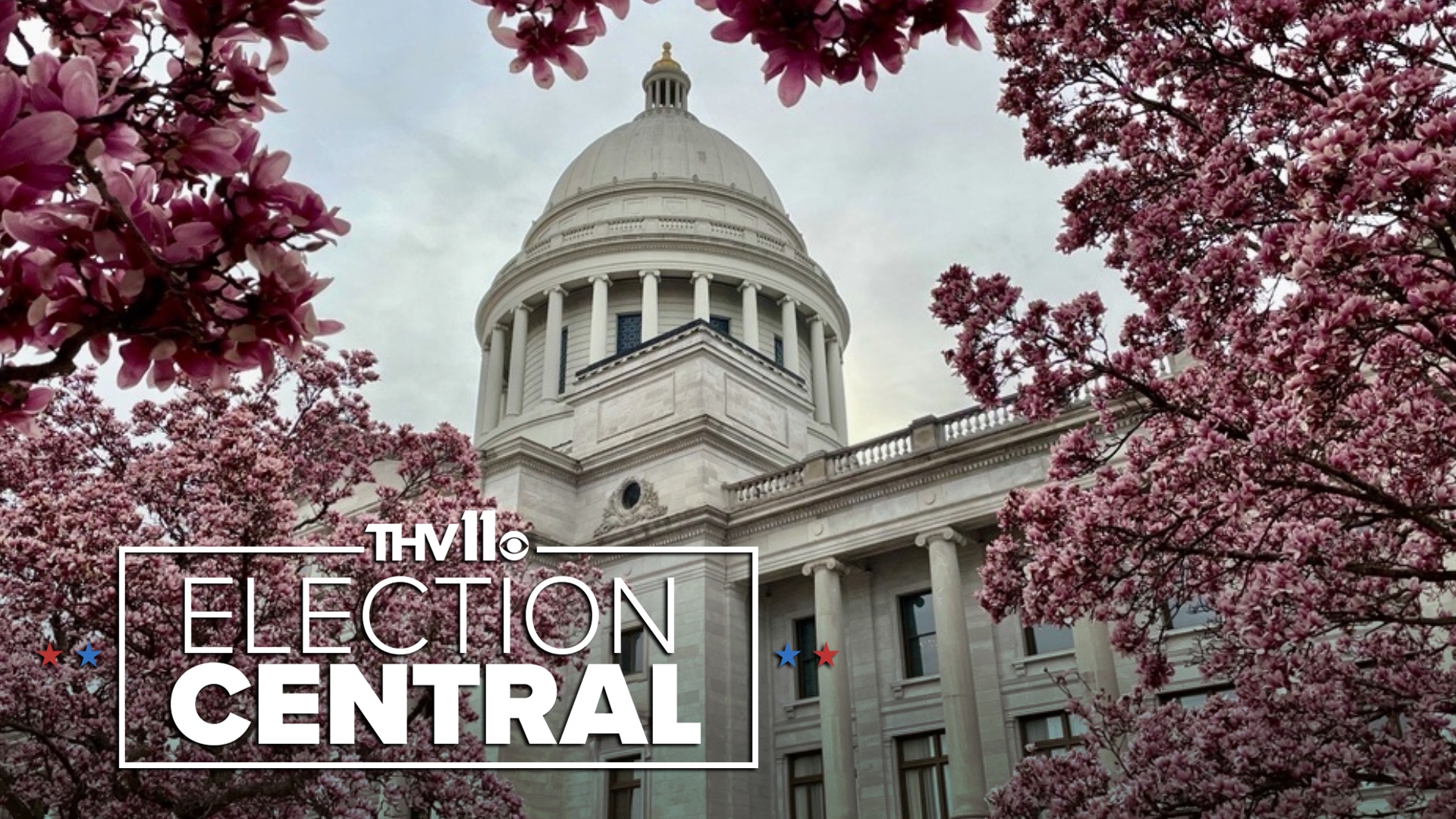 The Arkansas Supreme Court has ruled that the thousands of signatures gathered by supporters of an abortion amendment must be tallied up by the Secretary of State.