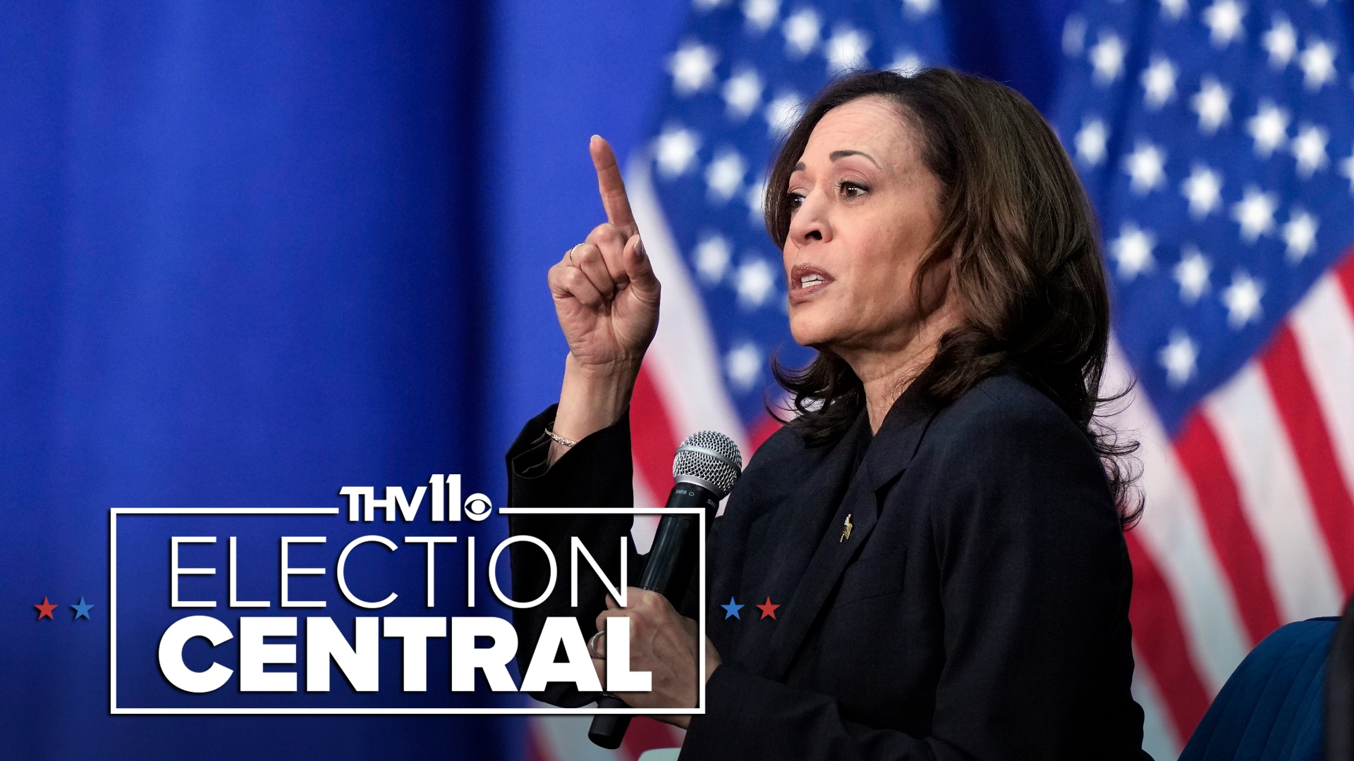 The Democratic Party of Arkansas voted unanimously for Vice President Kamala Harris as she officially kicks off her presidential campaign.