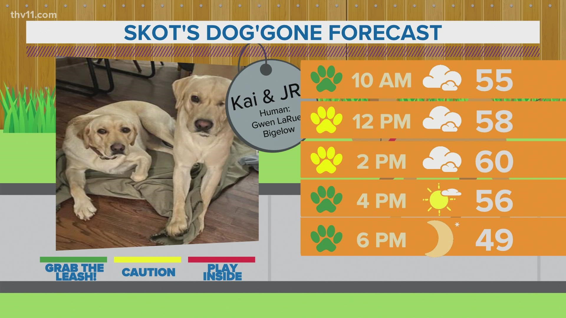 Kai & JR | Skot's dog'gone forecast