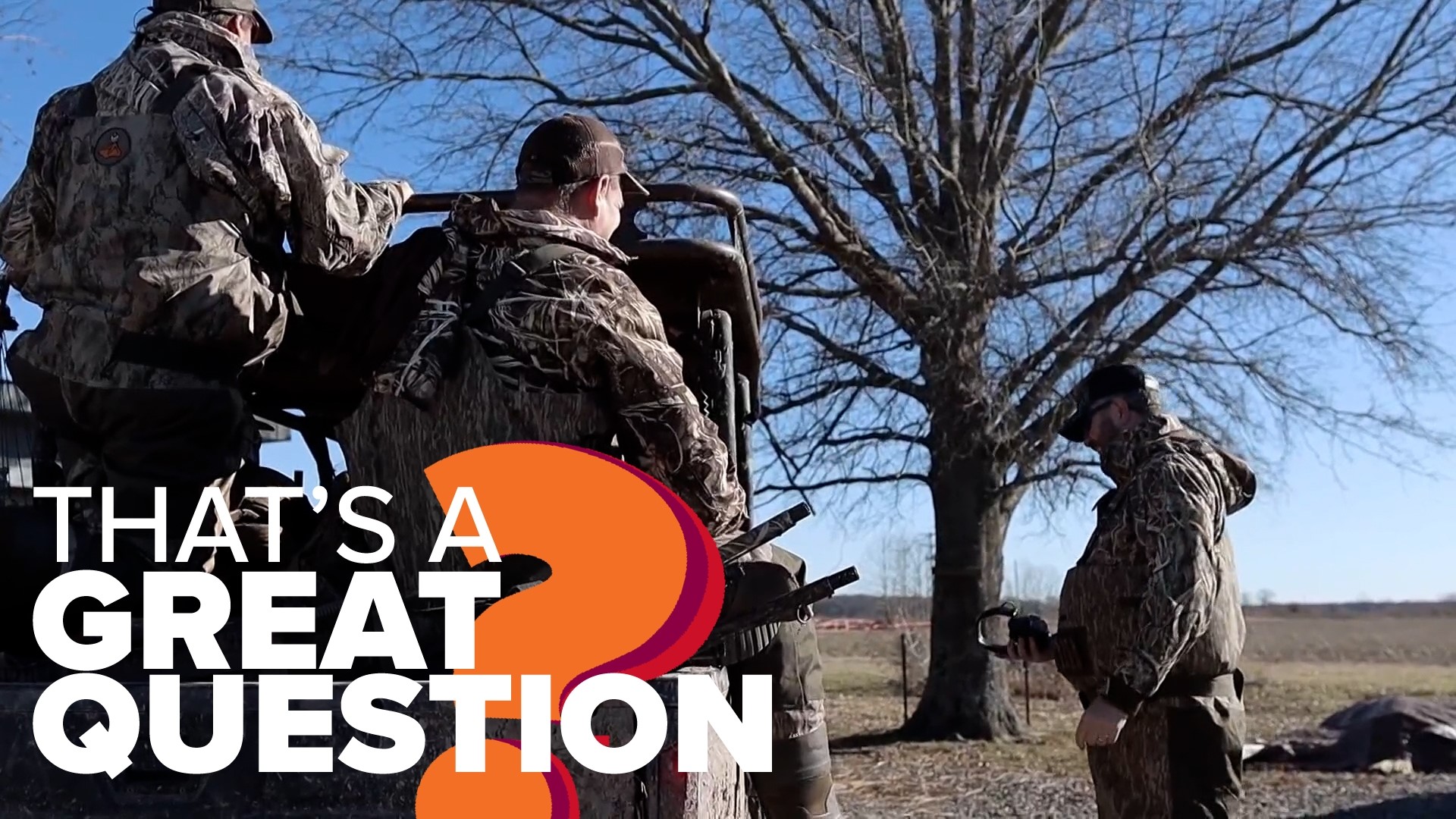 Biggest deer killed in Arkansas & more! That's A Great Question