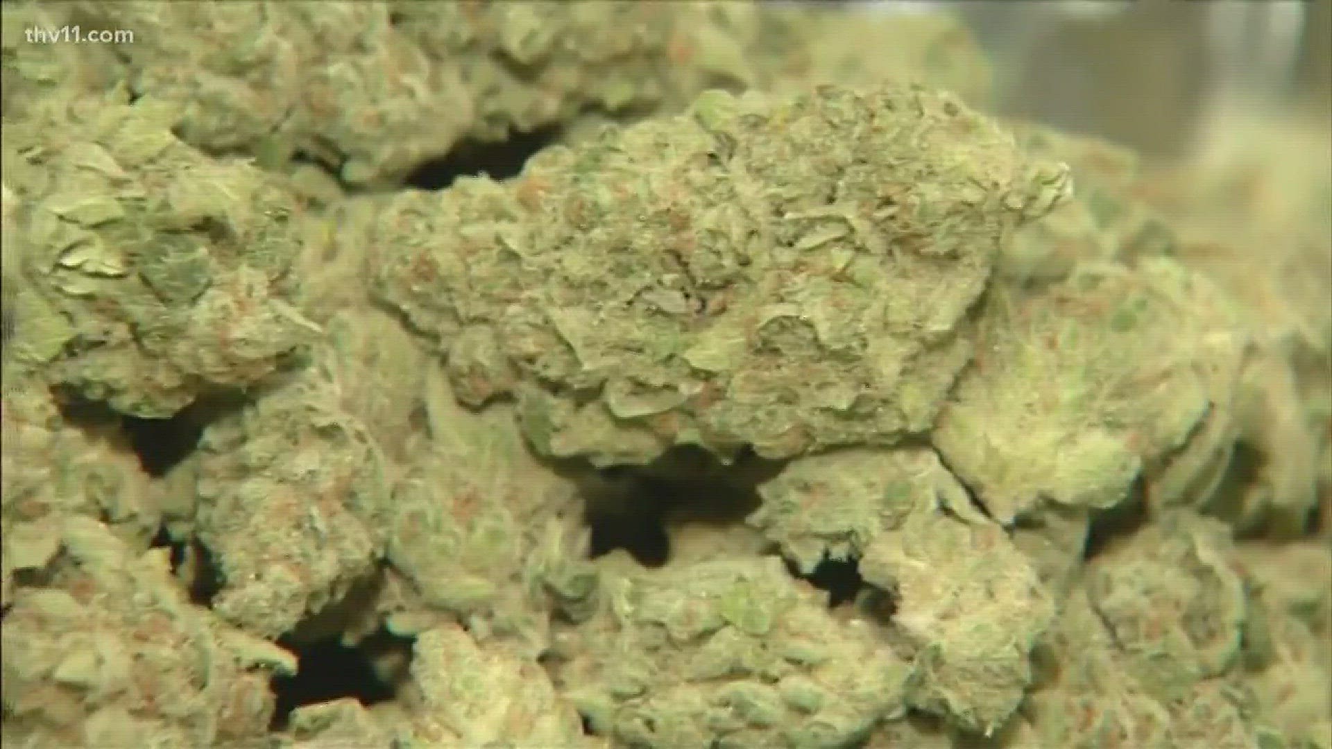 Judge halts issuing medical marijuana growing permits