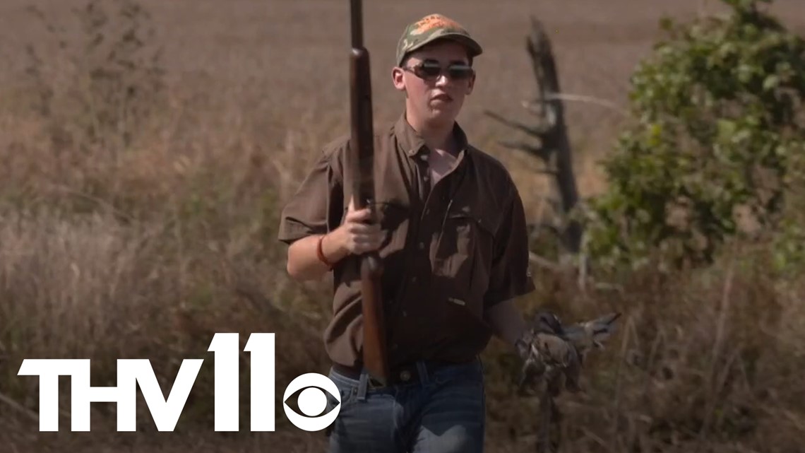 How to participate in Arkansas's dove hunting season Outdoor Report