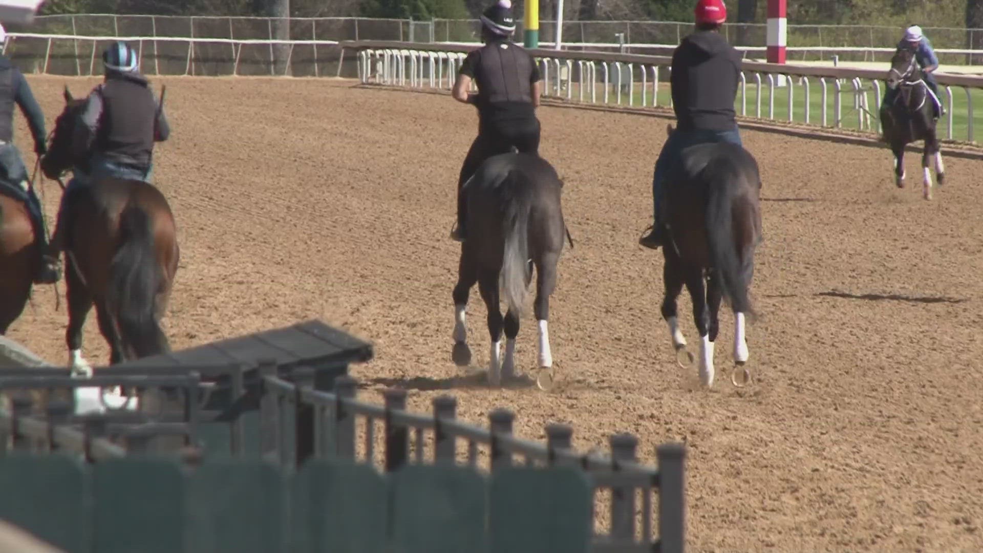 Huge crowds are expected at Oaklawn on Saturday for both the derby and four-stakes race this weekend. Here's what you can expect at the race track.