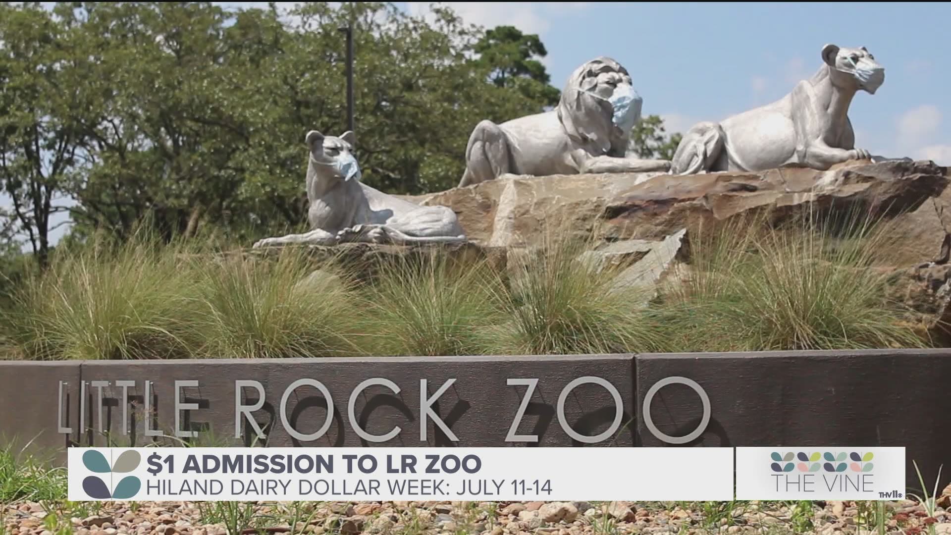 Little Rock Zoo celebrates elephant's 61st birthday