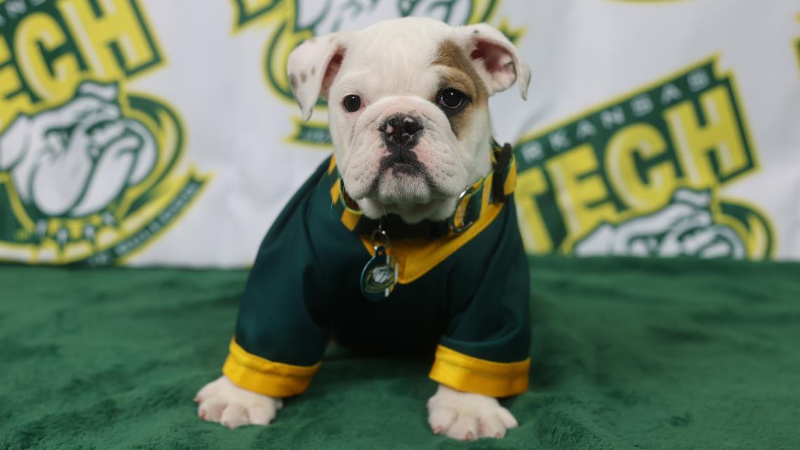 Arkansas Tech University introduces Jerry Charles Young IV as new campus ambassador