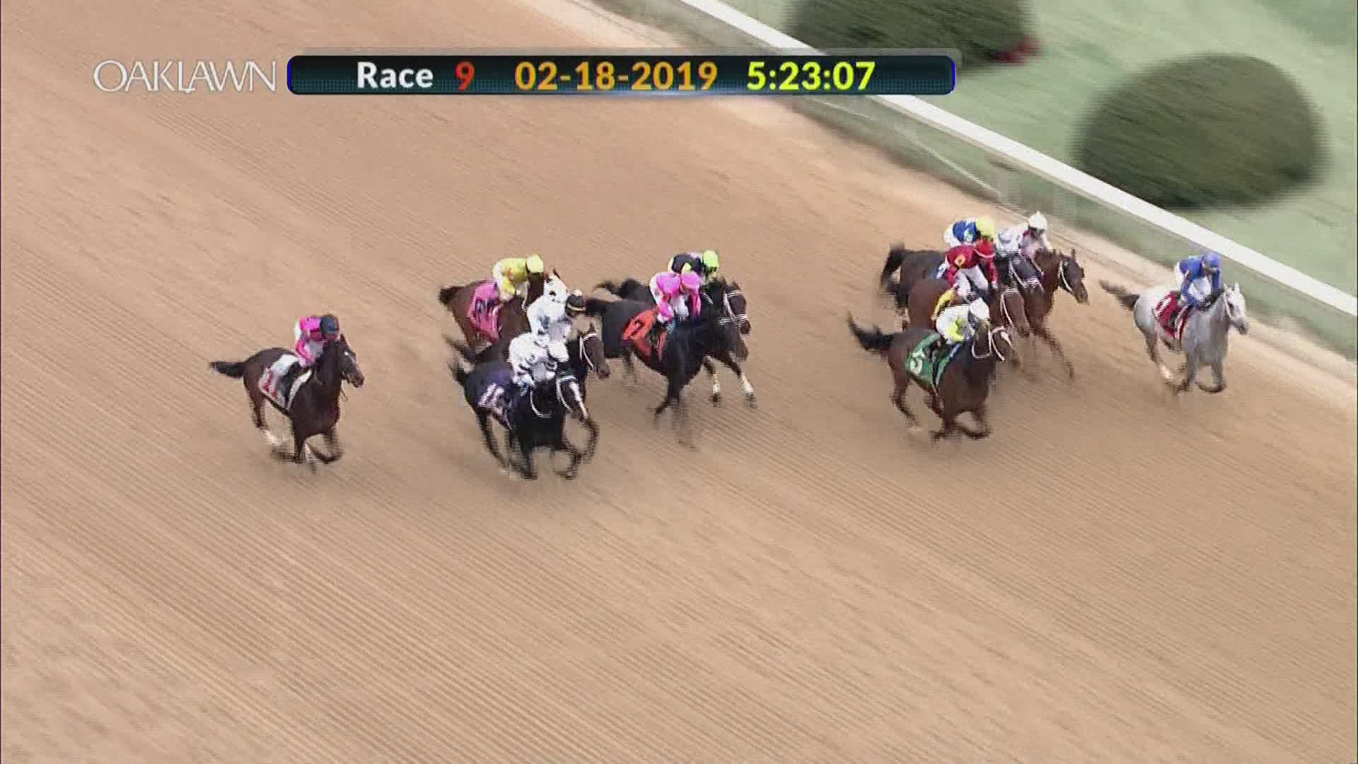 The son of 2010 Kentucky Derby winner, Super Saver, went off at 62-1 odds.