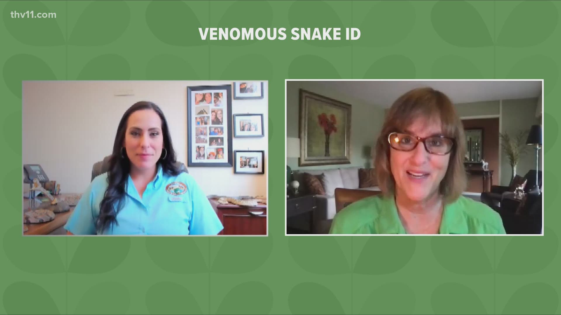 Witt Stephens Jr. Central Arkansas Nature Center is hosting a free virtual program to help people identify venomous snakes in Arkansas.