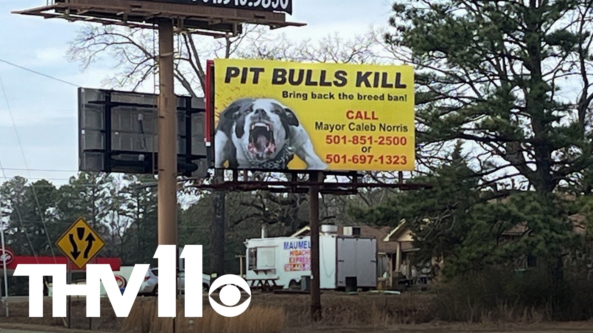 The discussion to ban pit bulls is back in the spotlight after a billboard in Maumelle asks the city to reinstate the ban, which it lifted back in 2021.