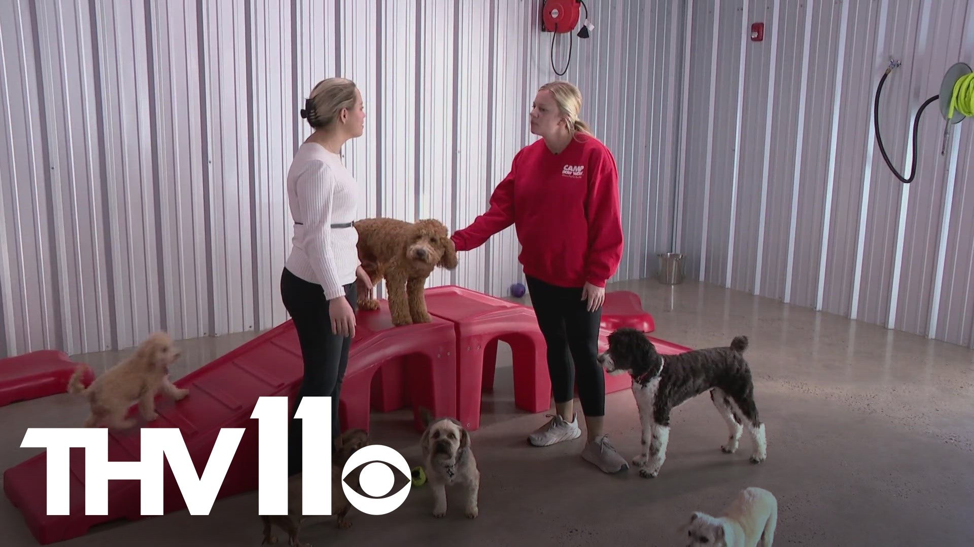 As the veterinarian shortage continues, we're taking a look at how pet parents and daycare facilities work to make sure their pets are covered around the clock.