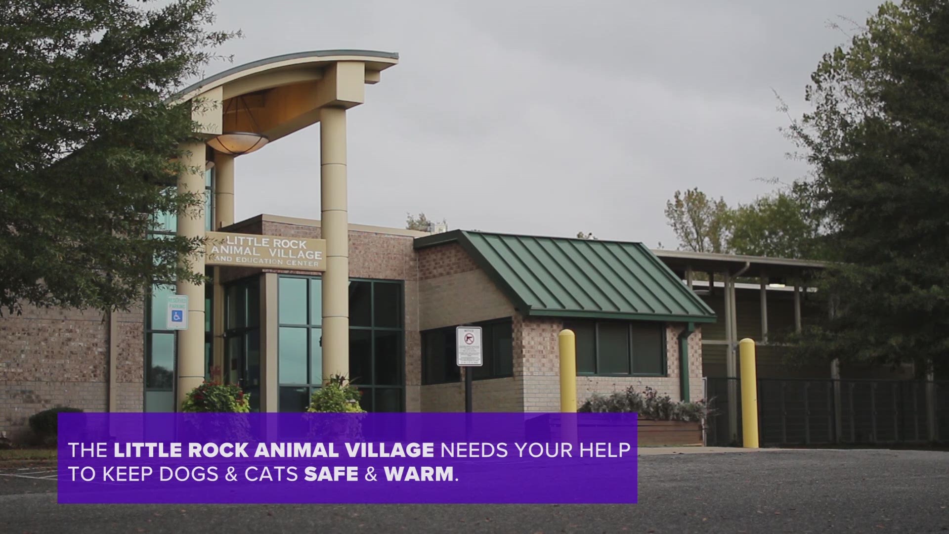 Do you have extra bath towels laying around? The Little Rock Animal Village is in desperate need of towel donations!