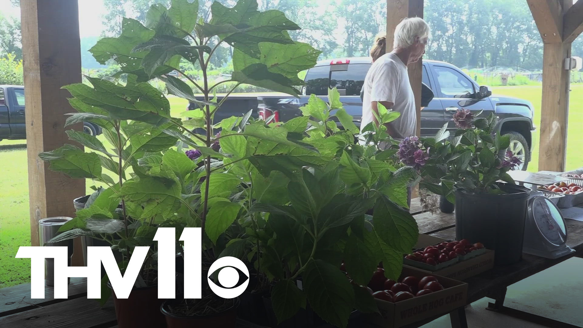 Two Rivers Park hosted a farmers market for people to show off their rented gardening plots.