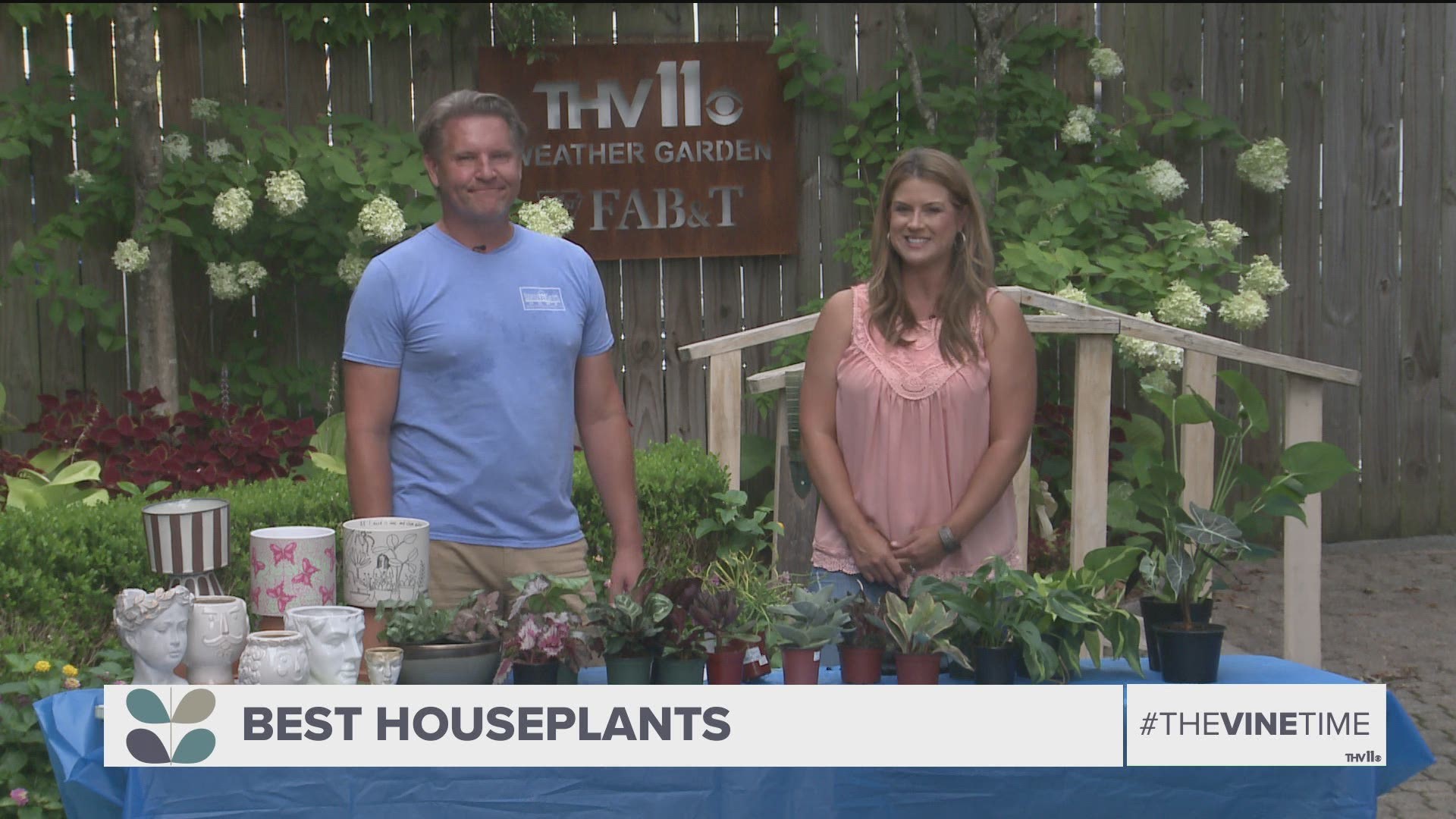 Houseplants can really help make a house feel like a home, so Chris H. Olsen tells us why houseplants are so popular!