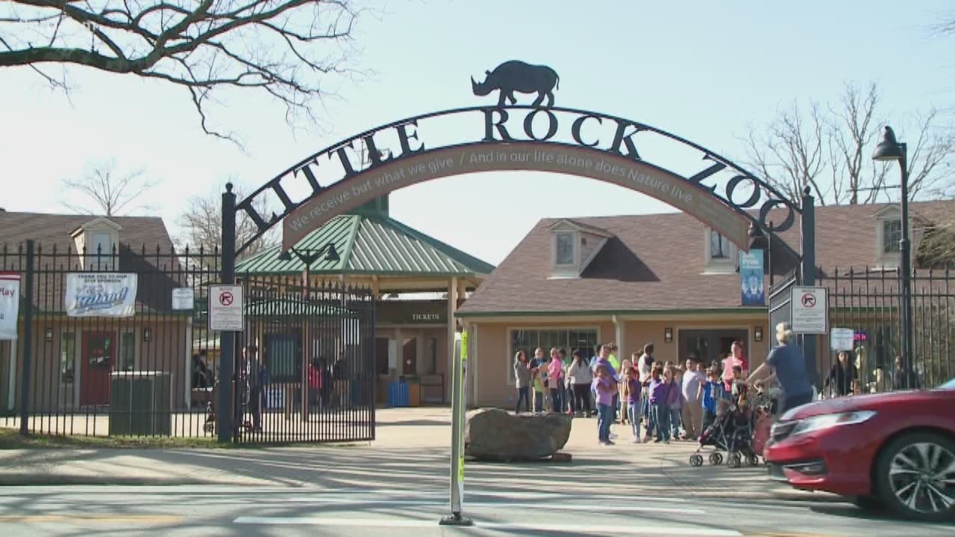 Depending on what day it is, you may have to wait to get a closer look at all the Little Rock Zoo has to offer for the next few months.