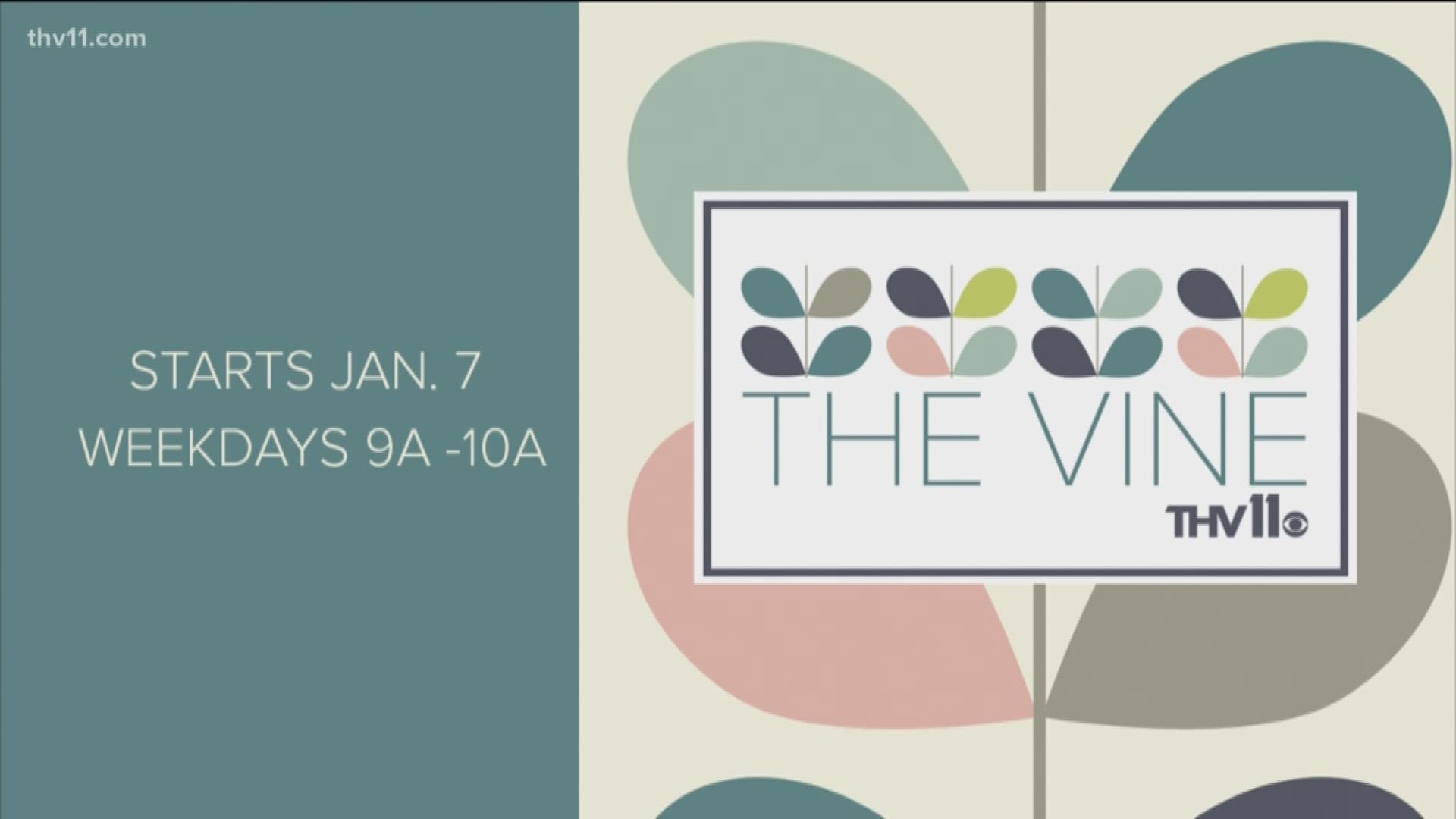 The Vine: An all-new show on THV11