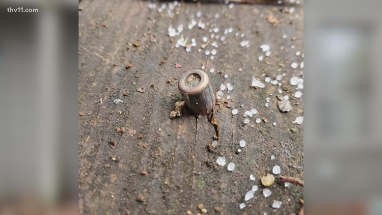 Little Rock officials want to curb celebratory gunfire after house is hit by stray bullet