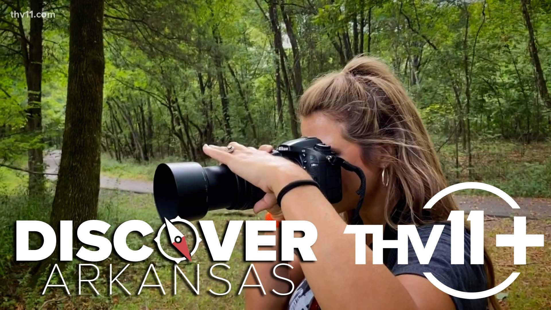 In this episode of Discover Arkansas, Ashley King and Adam Bledsoe take us around the Natural State  to some of the best hiking trails.