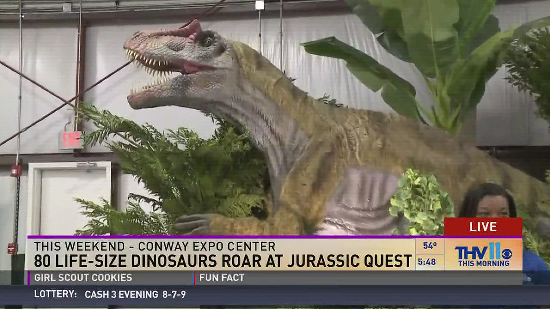 THV11's Raven Richard is live on Friday morning at the Conway Expo center with a preview of Jurassic Quest