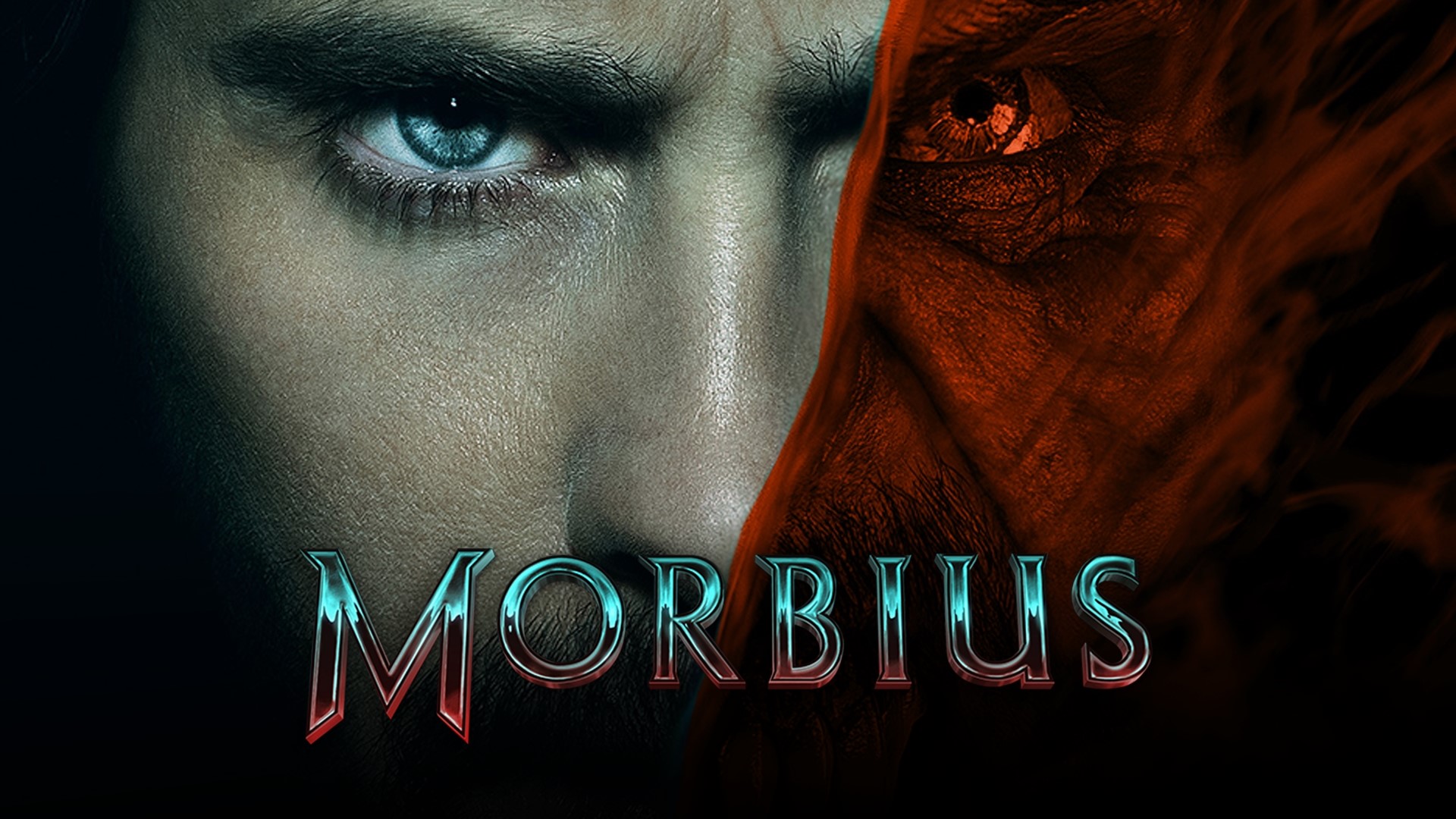Yes, Morbius is bland and yes, the plot is routine. But the action is good and there is enough for fans to like.