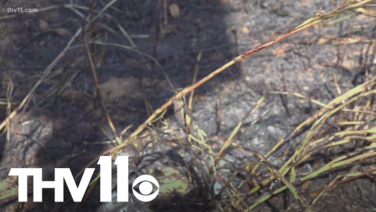 What is a burn ban and what does it mean for Arkansans?