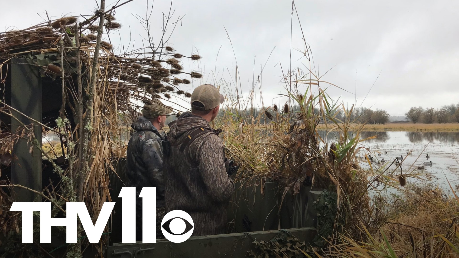 Trey Reid with Arkansas Game and Fish talks with Hayden Balgavy about duck season and what hunters in Arkansas need to know.