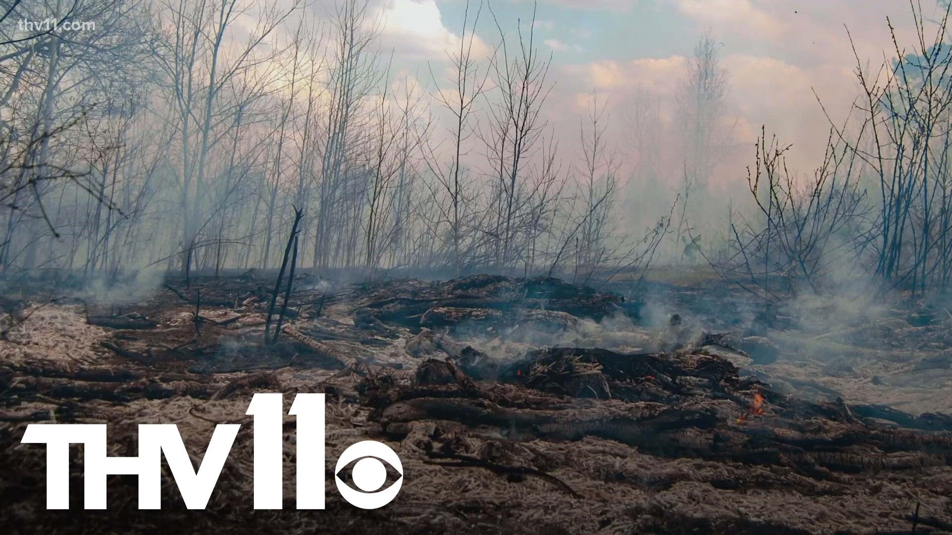With summertime comes wildfire season in Arkansas— and the fire risk is growing thanks to a recent dry spell. Here's how you can stay safe and reduce danger.
