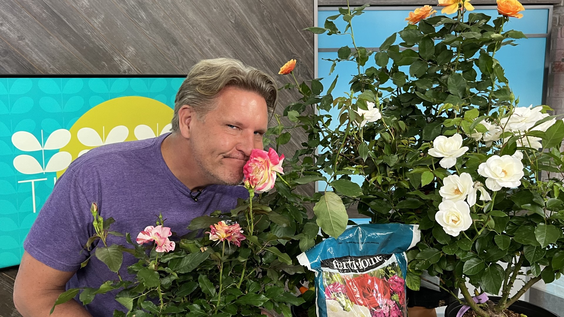 An important step in growing roses is know what variety you want to grow. Chris H. Olsen explains how types of this flower determine what care is needed.