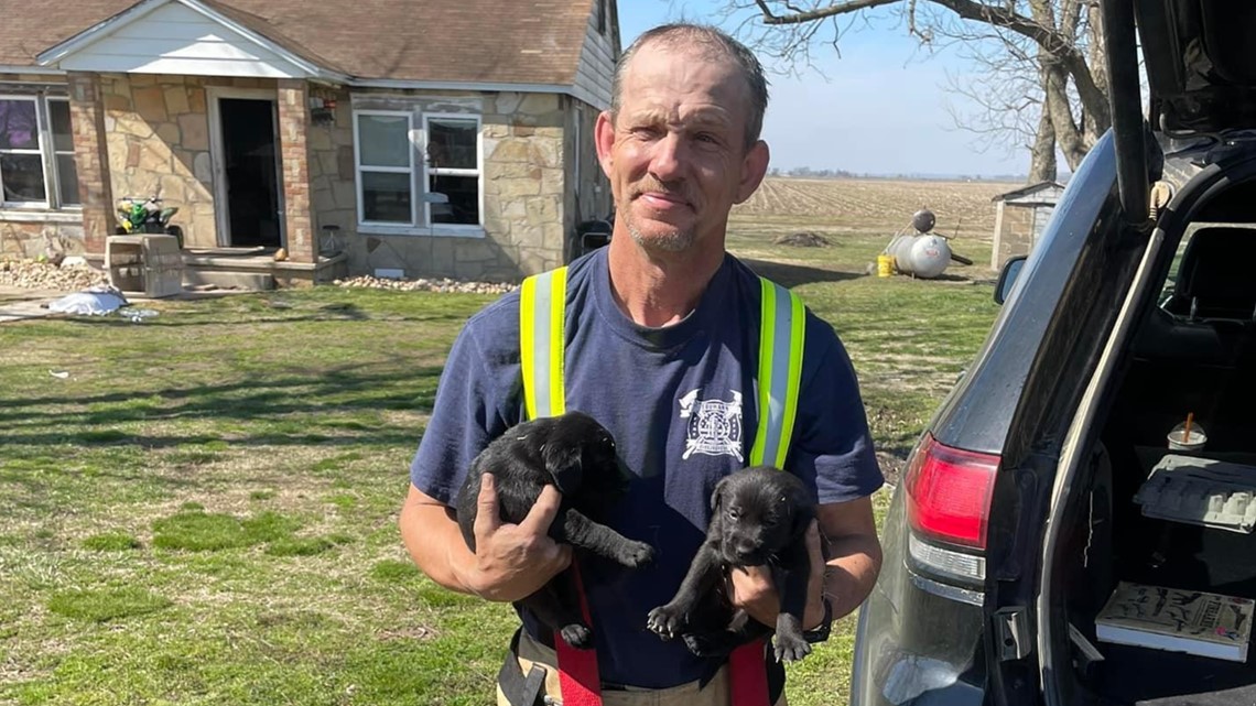 Arkansas family thankful after fire department rescues 10 dogs