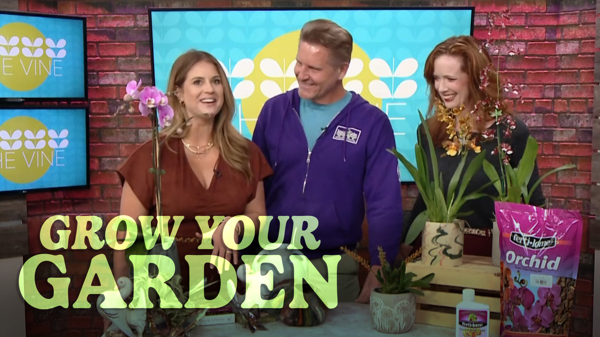 How to help your flowers flourish ahead of Spring | Grow Your