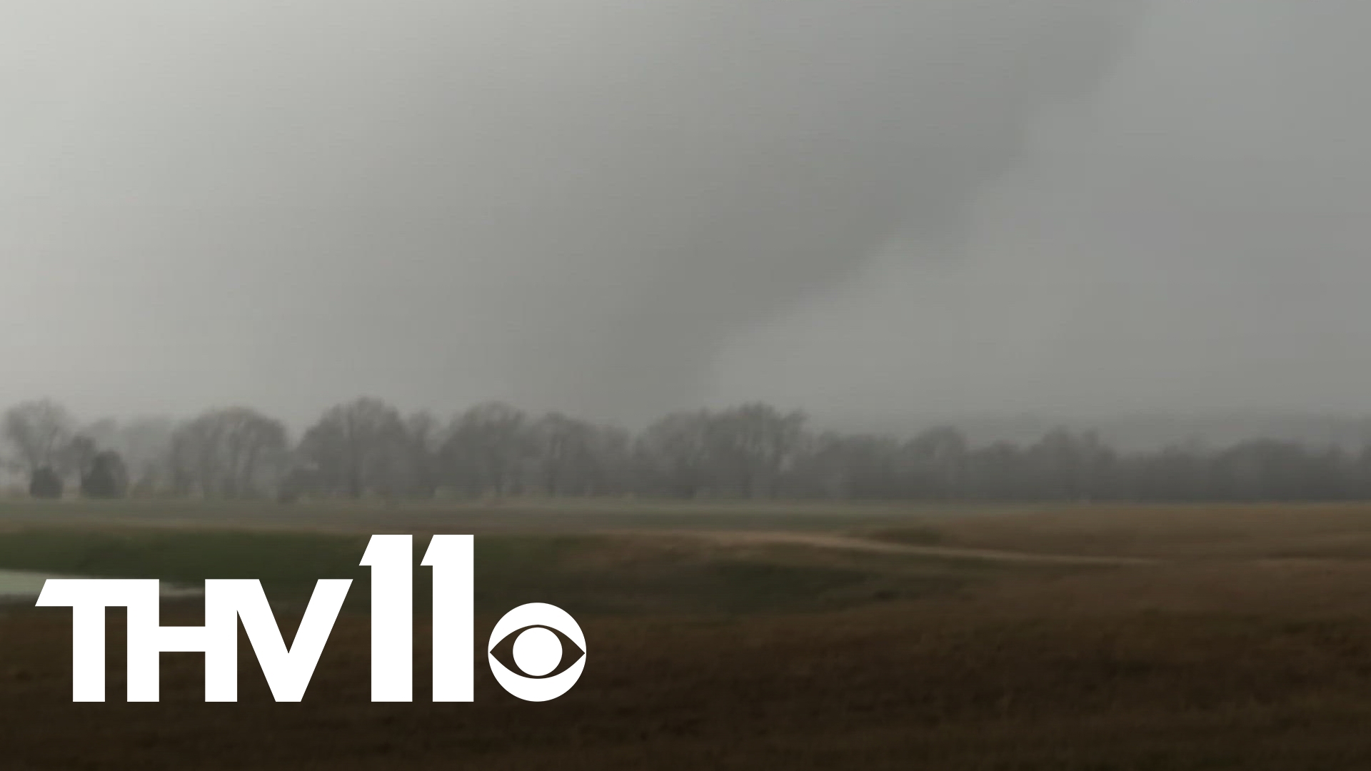 Which teams are in the NFL playoffs? Here's the full 2025 NFL playoff