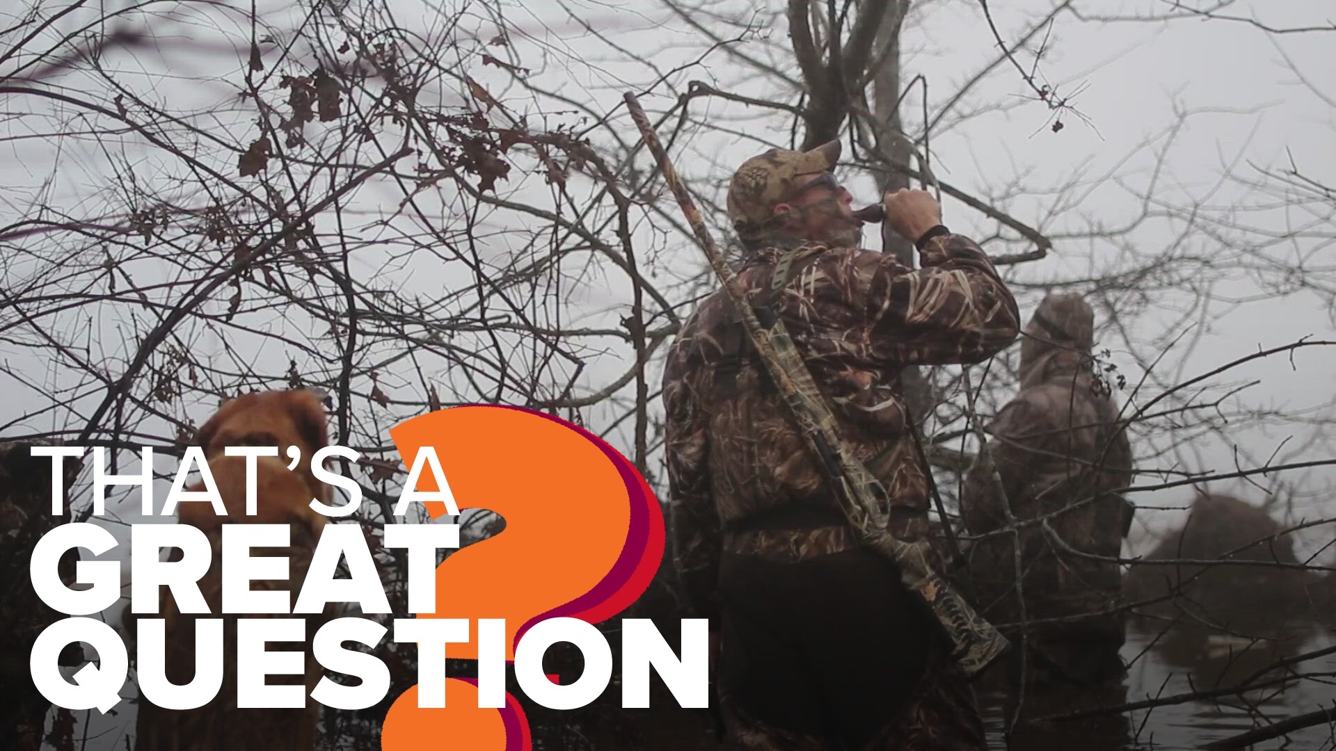 Arkansans know our state offers some of the best duck hunting in the world, but there is a big change hunters need to know ahead of the next waterfowl season.