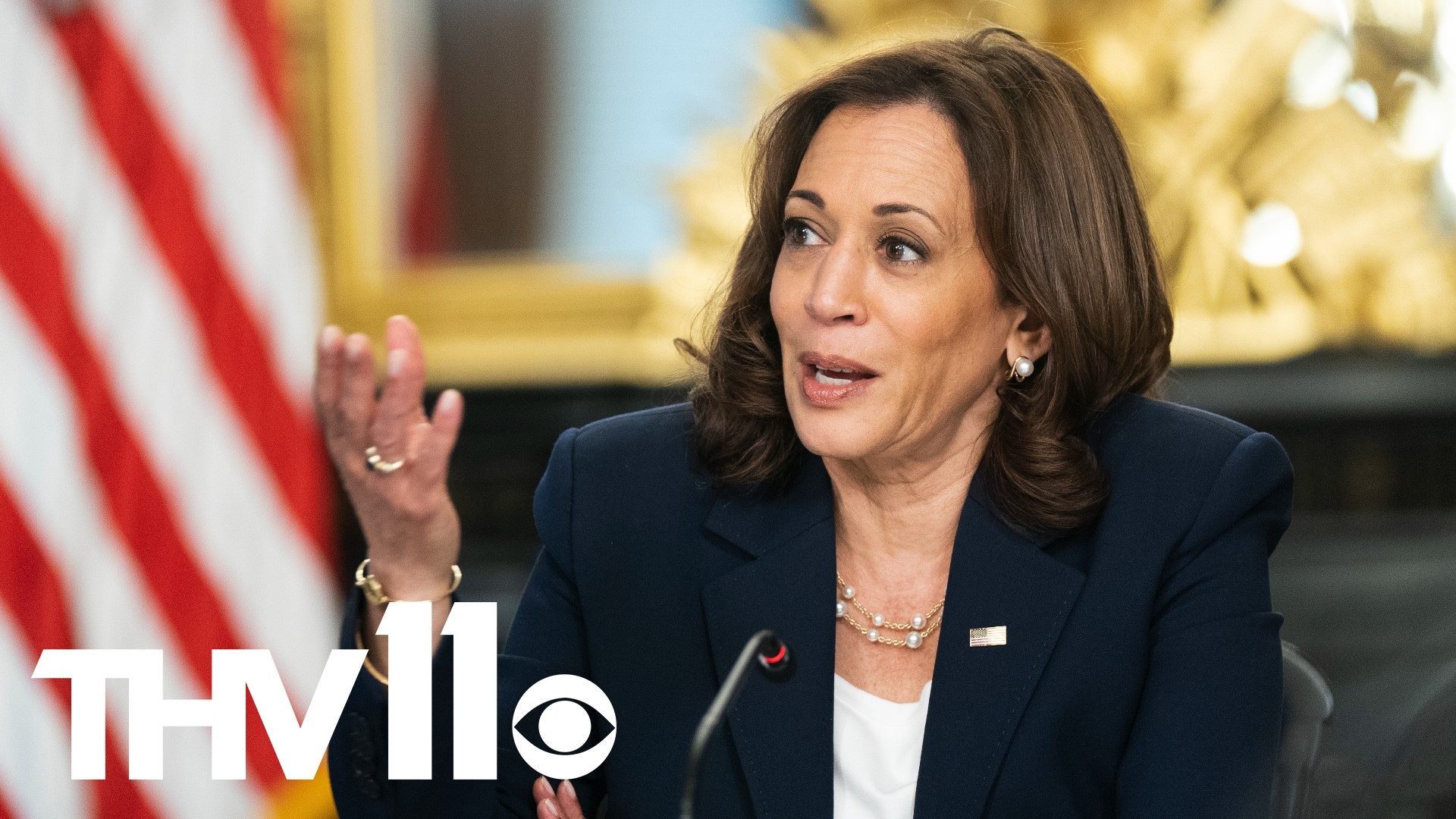 Vice President Kamala Harris sat down with the CEOs of four tech giants at the White House to talk about AI technology and what it means for society.