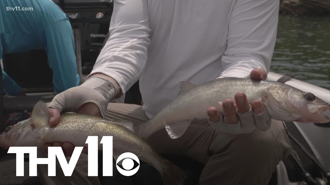 Fish containing mercury found in Arkansas lakes