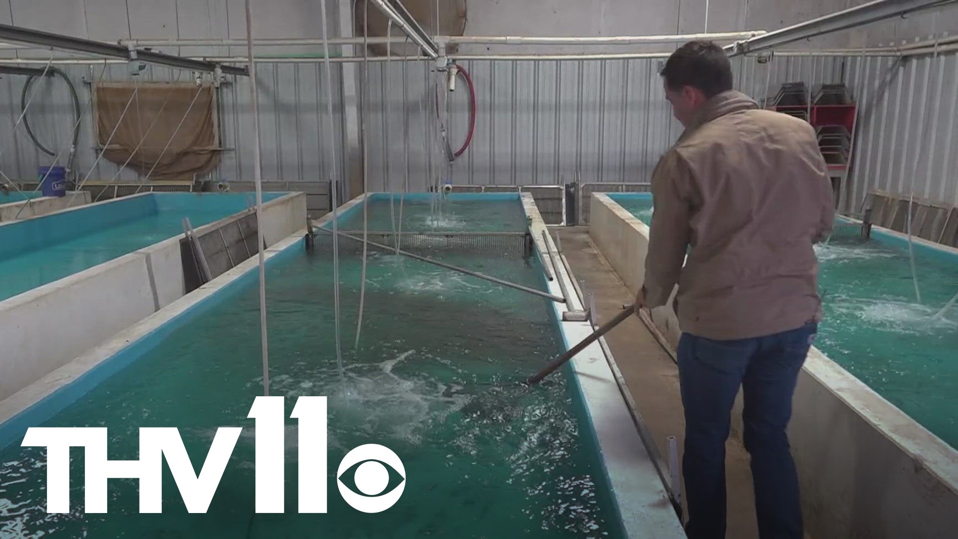 Keo Fish Farms in Lonoke County says the recent rain and cooler temperatures will help them meet the high demand for fish they're seeing right now.