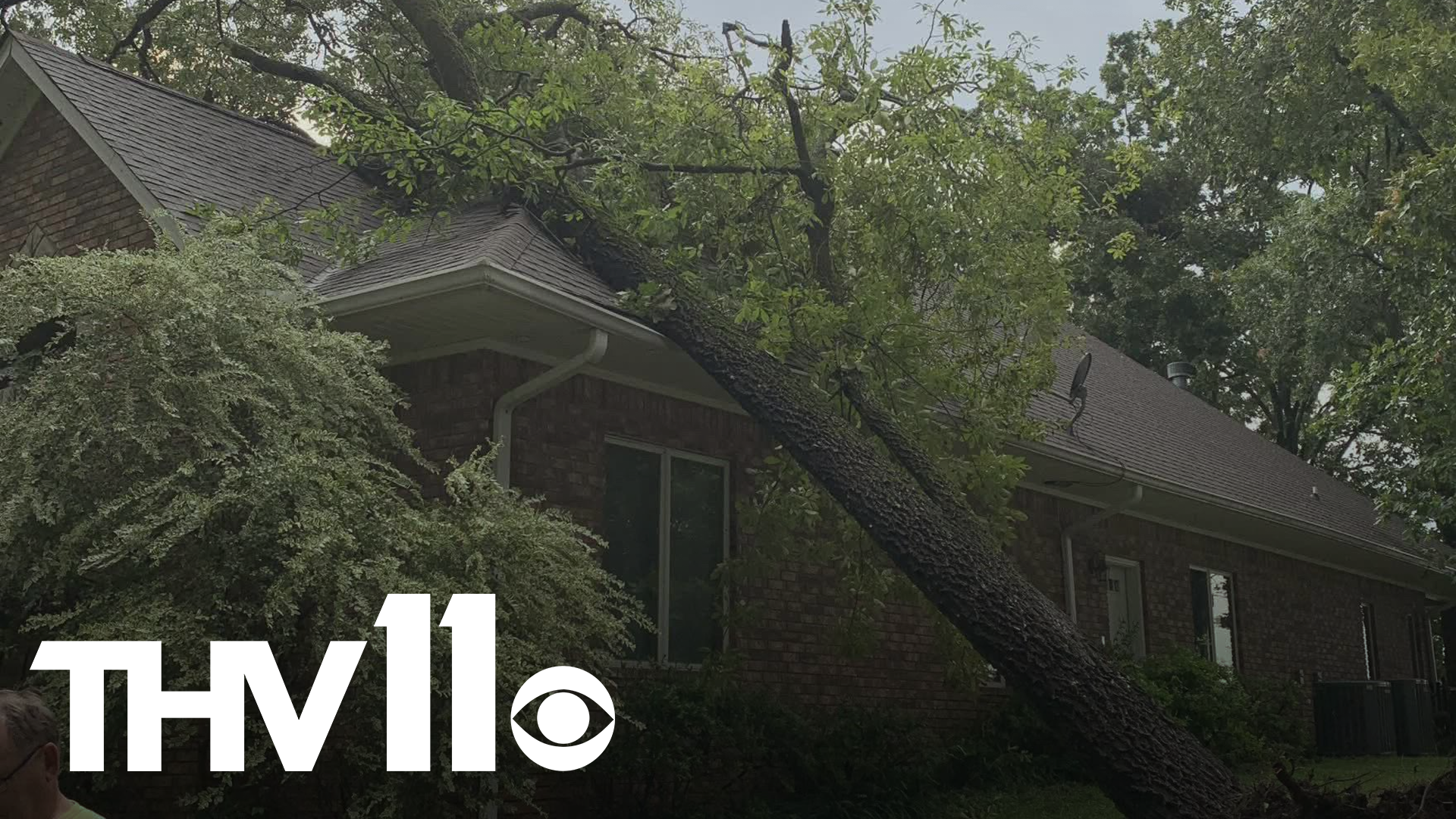 Afternoon thunderstorms packed a punch Wednesday and a neighborhood in Garland County is experiencing power loss and fallen trees.