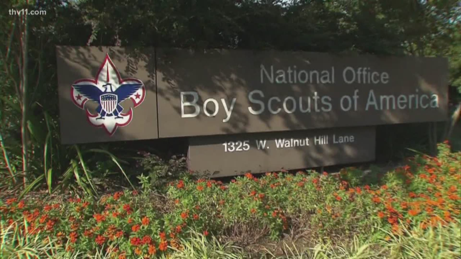 William Stevens claims Boy Scouts of America knew his leader was a pedophile.