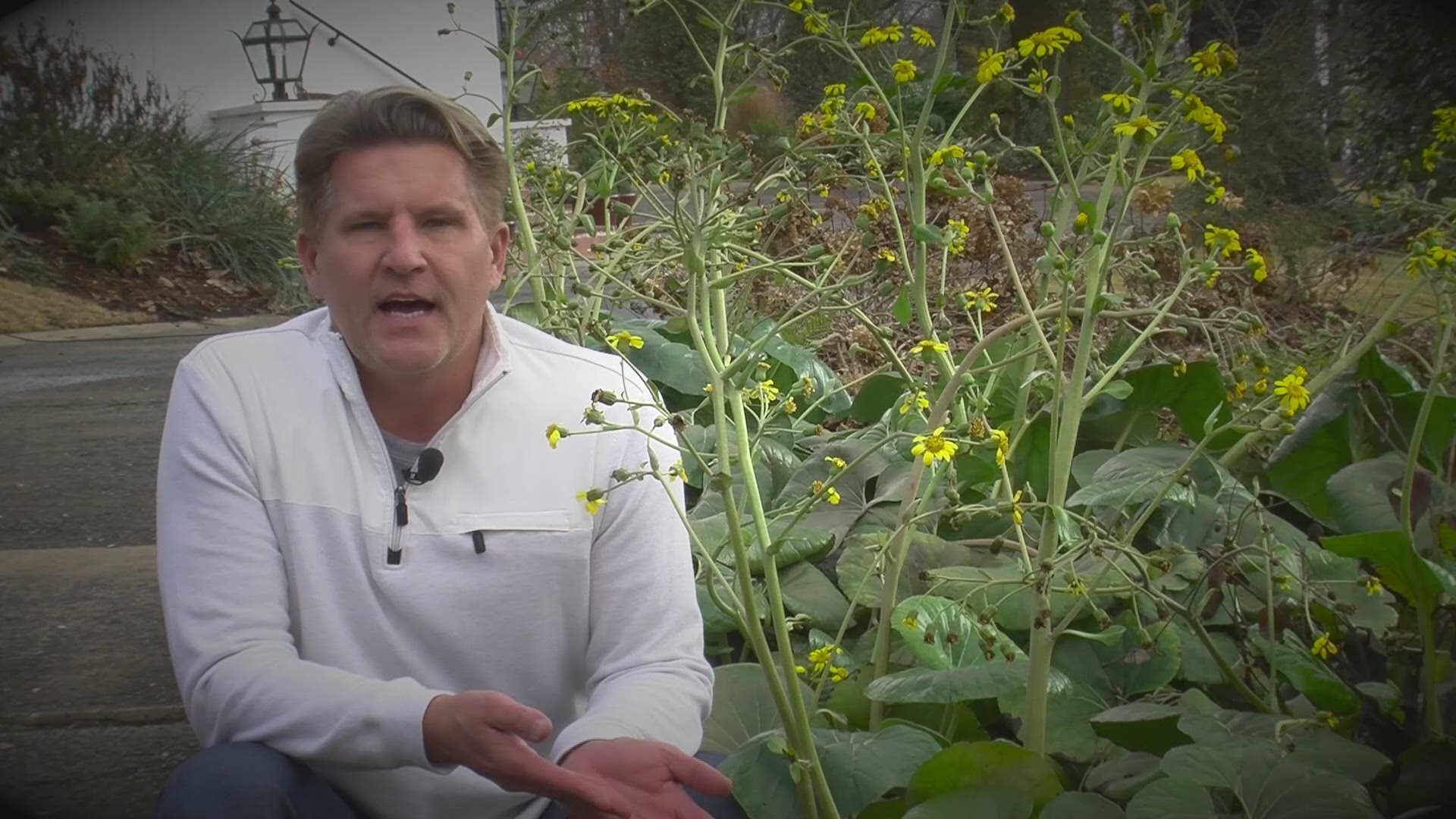 Chris H. Olsen shares with us how to bring color to our landscape during the winter.