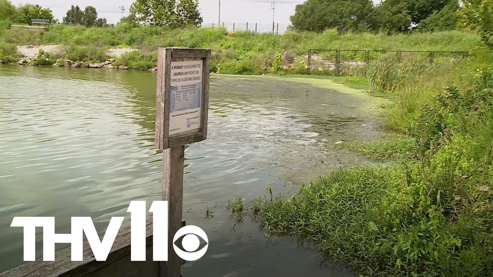 Harmful algal blooms can provide a myriad of toxins. More specifically, Lake Fayetteville has become susceptible to a liver toxin and possible human carcinogen.