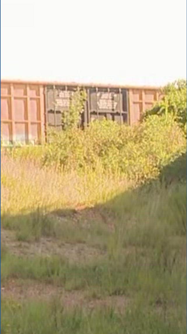 One person killed after being struck by train in Little Rock | thv11.com