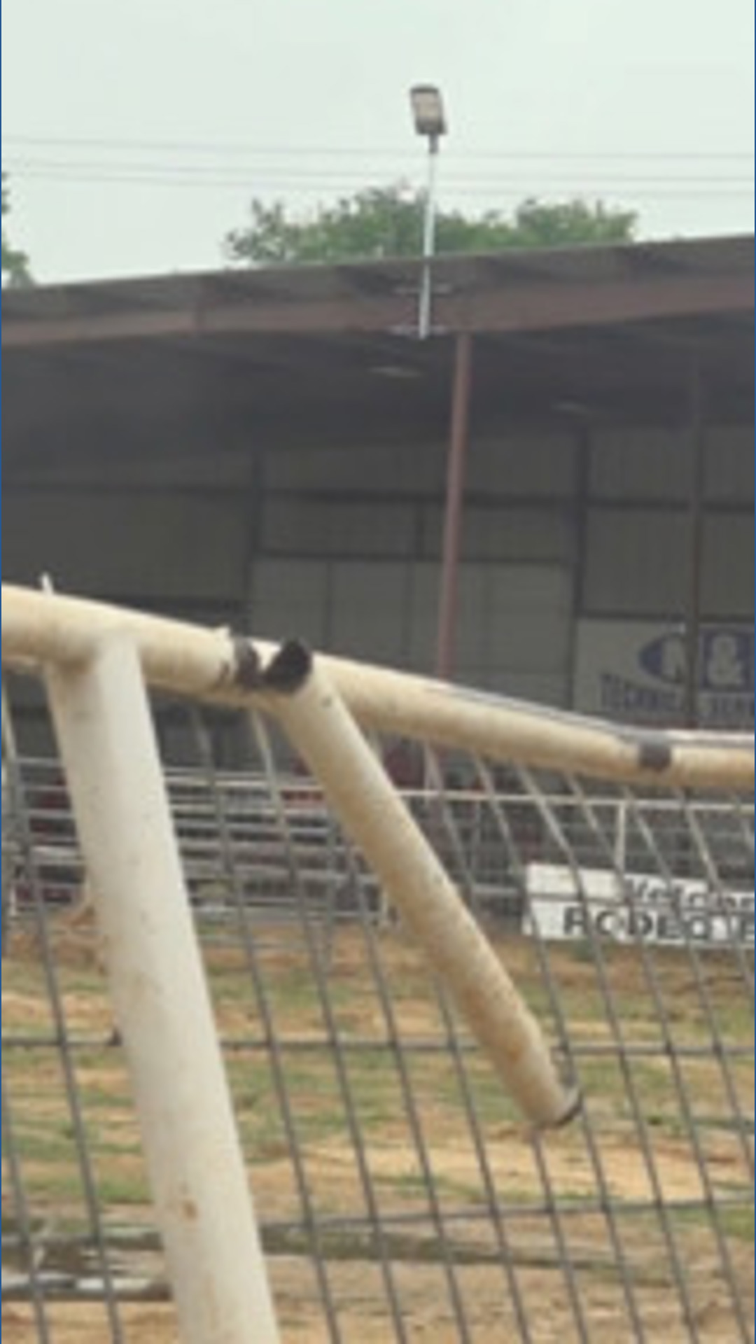 Saline County sets sights on fairgrounds rebuild after being damaged in winter storm